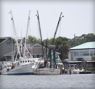 Shrimp Boats