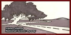 Edisto Island National Scenic Byway